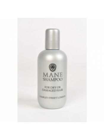 Шампунь Mane Shampoo for Dry / Damaged Hair 200 мл
