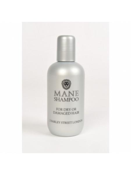 Шампунь Mane Shampoo for Dry / Damaged Hair 200 мл